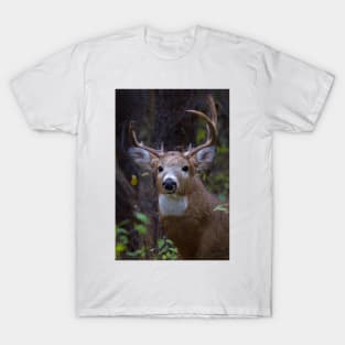 Battle Scars - White-tailed Buck T-Shirt